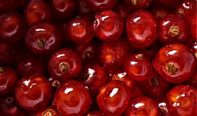 Alimentação saudável: como começar a se alimentar melhor