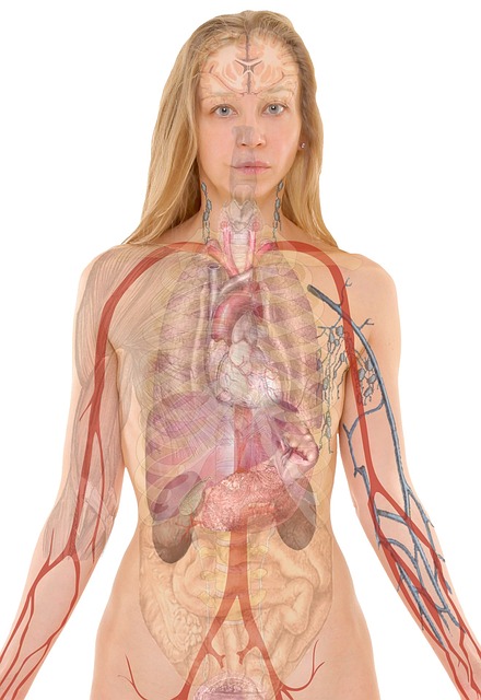 Doenças Respiratórias em 2024: Prevenção e Tratamento Eficaz